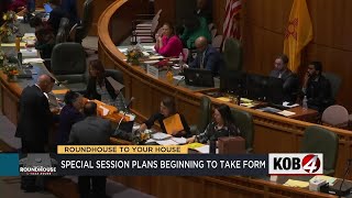 Legislators prepare complex public safety proposals for special session
