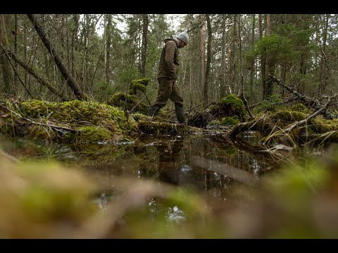 Video: Vanaema rinnalt