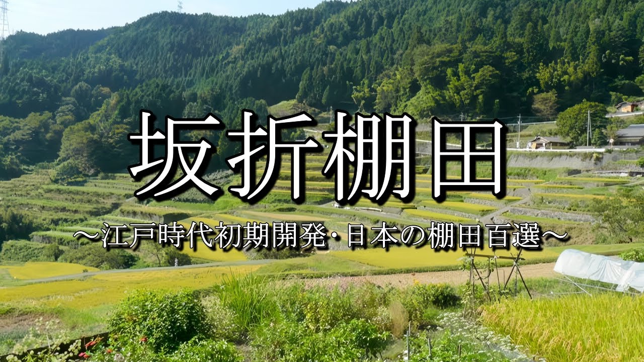 大名墓地 乗政寺山墓地 岐阜県恵那市岩村町 Youtube