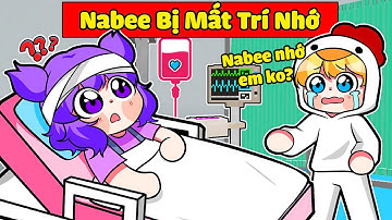 NABEE BẤT NGỜ BỊ MẤT TRÍ NHỚ KHIẾN TOGA PHÁT KHÓC TRONG MINECRAFT*NABEE MẤT TRÍ NHỚ 😜⁉️🤭