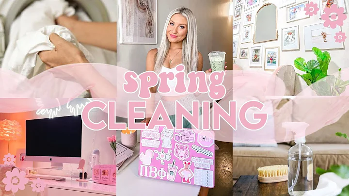 Organize & Deep Clean My Apartment With Me! | Spring Cleaning | Lauren Norris