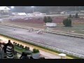 Como apostar en el hipodromo. - YouTube