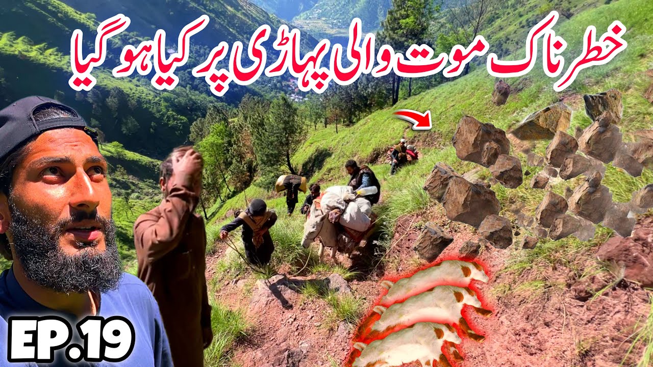 😨Very Dangerous Life Risk | Travelling with Bakarwal in Kashmir Episode 19 | Jhelum Valley Kashmir