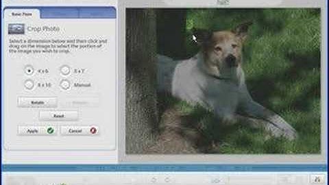 Crop a Digital Picture using Picasa