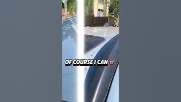 Car Detail Tree Sap Removal #detailing #automobile