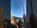 Eternal Waves of Serenity 🌊 | 静寂の波を感じて