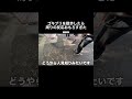 新しい発想#shorts