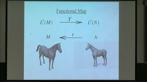 VMVW03 | Prof. Nir Sochen | Point correspondences in the functional map framework