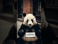 Subscribe for this cute Panda 🐼 | Plz Subscribe | #cute #panda #subscribe