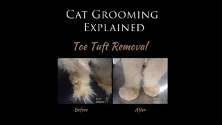 What are Toe Tufts and why would we remove them?