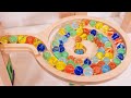 Marble Run Race ASMR ○ Long Time Healing with Marble 【NO TALKING】