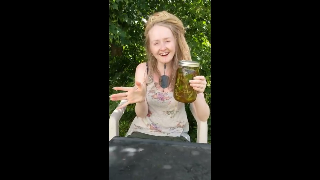 Let's make a self heal oxymel!