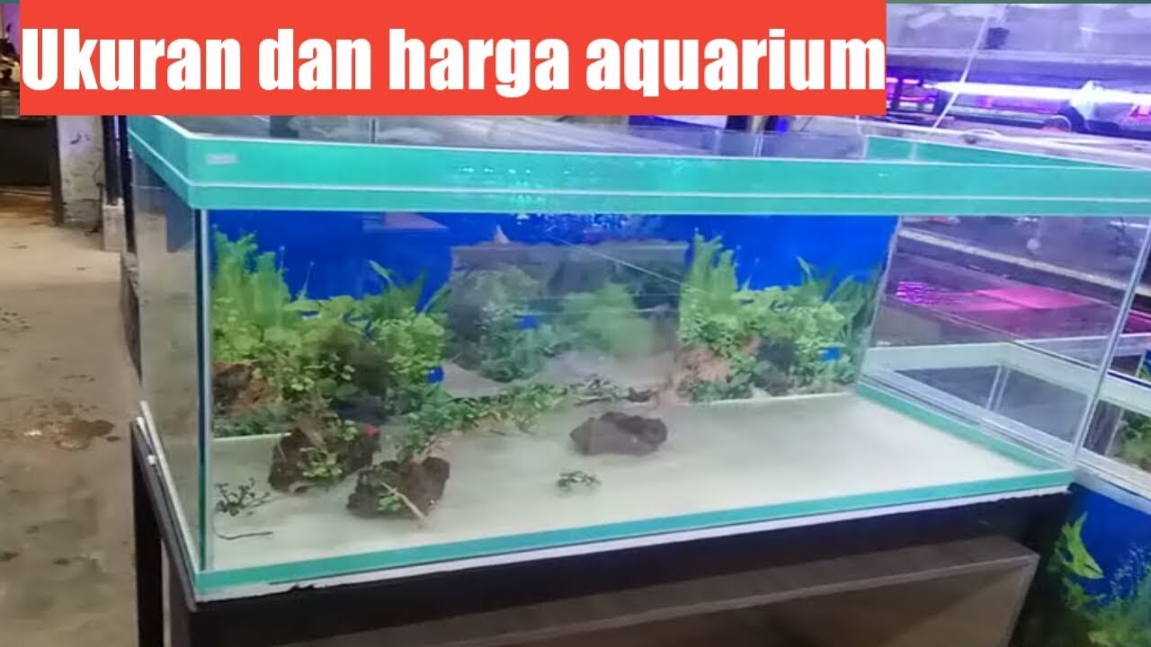 Harga aquarium dan ukurannya Dan aquarium aquascape 