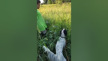 Layla - Steady On Point and Flush  09 08 22