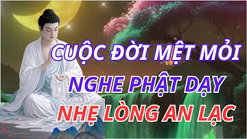 Lời Phật Dạy: Cuộc Đời Mệt Mỏi – Học Cách Buông Bỏ Để Nhẹ Lòng, Hết Khổ Đau, Tâm Được An Lạc