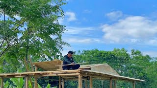 Download Lagu CEO Goodbye City Life. Go to countryside rice fields to build a wooden house, blending with nature MP3 Download Lagu CEO Goodbye City Life. Go to countryside rice fields to build a wooden house, blending with nature MP3