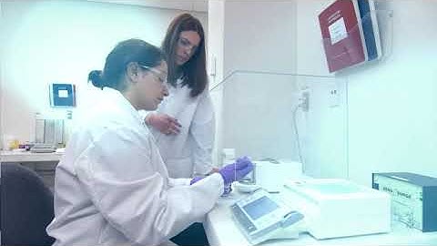 Analytical Services Testing