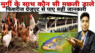 मुर्गी के साथ कौन सी मछली पालन आपको लखपति बनाएगी| फिशरीज ग्रेजुएट से पाए संपूर्ण जानकारी screenshot 4