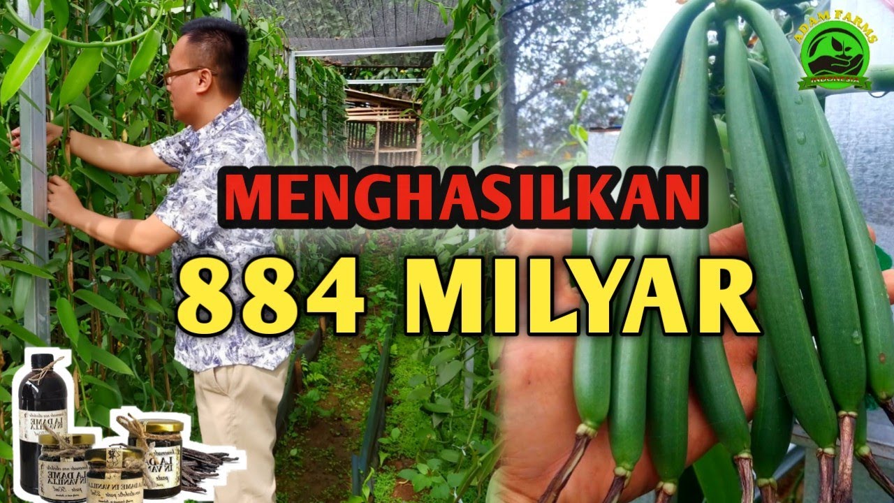 ALASAN KENAPA VANILI BISA MAHAL