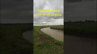 Story WA Iksan Skuter - Dunia tumbuh dan tergesa-gesa