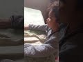 bonito