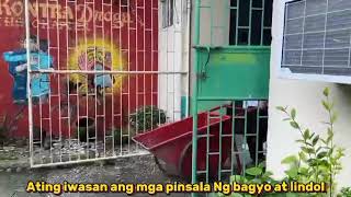 Kalikasan at kapaligiran (SIHS 24-25_JUSTICE_Group No.3)