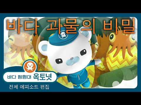 바다 탐험대 옥토넛 - 🐙 바다 괴물의 비밀 🔍 - 60분+ 편집 - 모음집