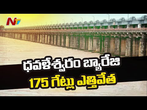 Increased Flood Inflow to Dowleswaram Barrage l Dhavaleswaram Project l NTV