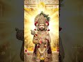 जय हो बाबा खाटूश्याम की 🙏🙏#shorts #khatushyam #youtubeshorts