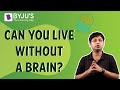 Can you live without a brain  byjus fun facts