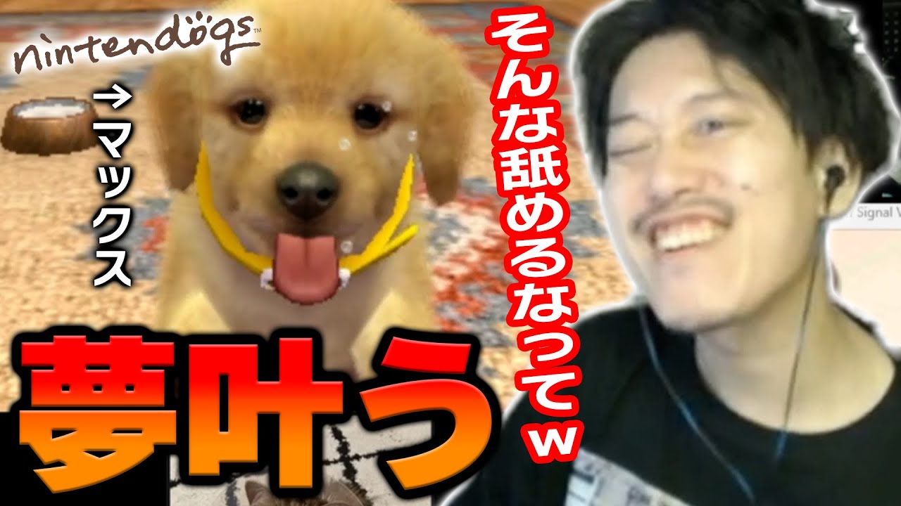 【ニンテンドックス】遂に念願の犬を飼う布団ちゃん【2024/5/11】