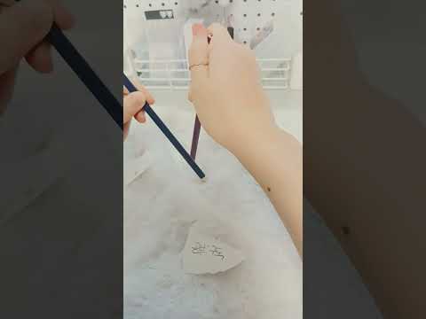 틱톡에서 유행하길래 해본 짝짝이(?)워킹#포포#추천뜨라