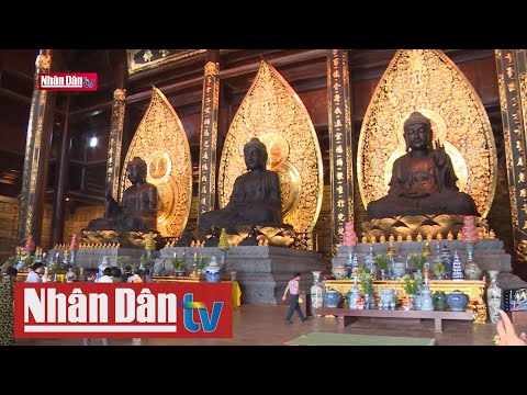 Video Vi phạm trong lĩnh vực văn hóa, quảng cáo sẽ bị xử... - youtube