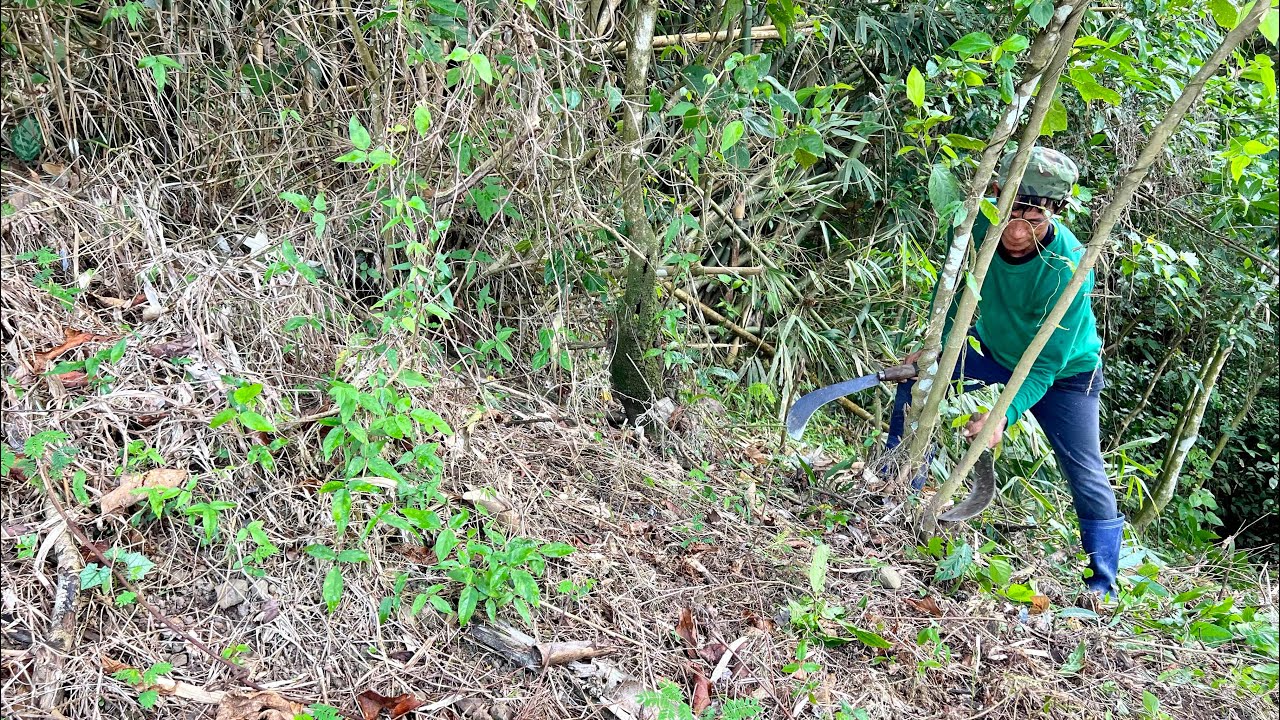 MATINDING DRAMA sa FARM, May nag ALSA BALUTAN! Nag CLEARING na ng TANIMAN ng SIGARILYAS!!!