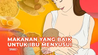 Makanan Sehat Untuk Ibu Menyusui