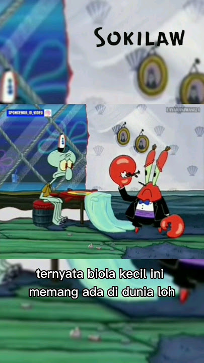 Biola terkecil di dunia #biola #sokilaw #shorts #shortvideo #info #faktaunik