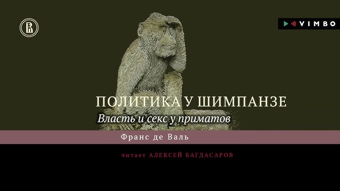 секс с обезьяной ПОЛИТИКА У ШИМПАНЗЕ. ВЛАСТЬ И СЕКС У ПРИМАТОВ» ФРАНС ДЕ ВАЛЬ | #аудиокнига.  Фрагмент - YouTube