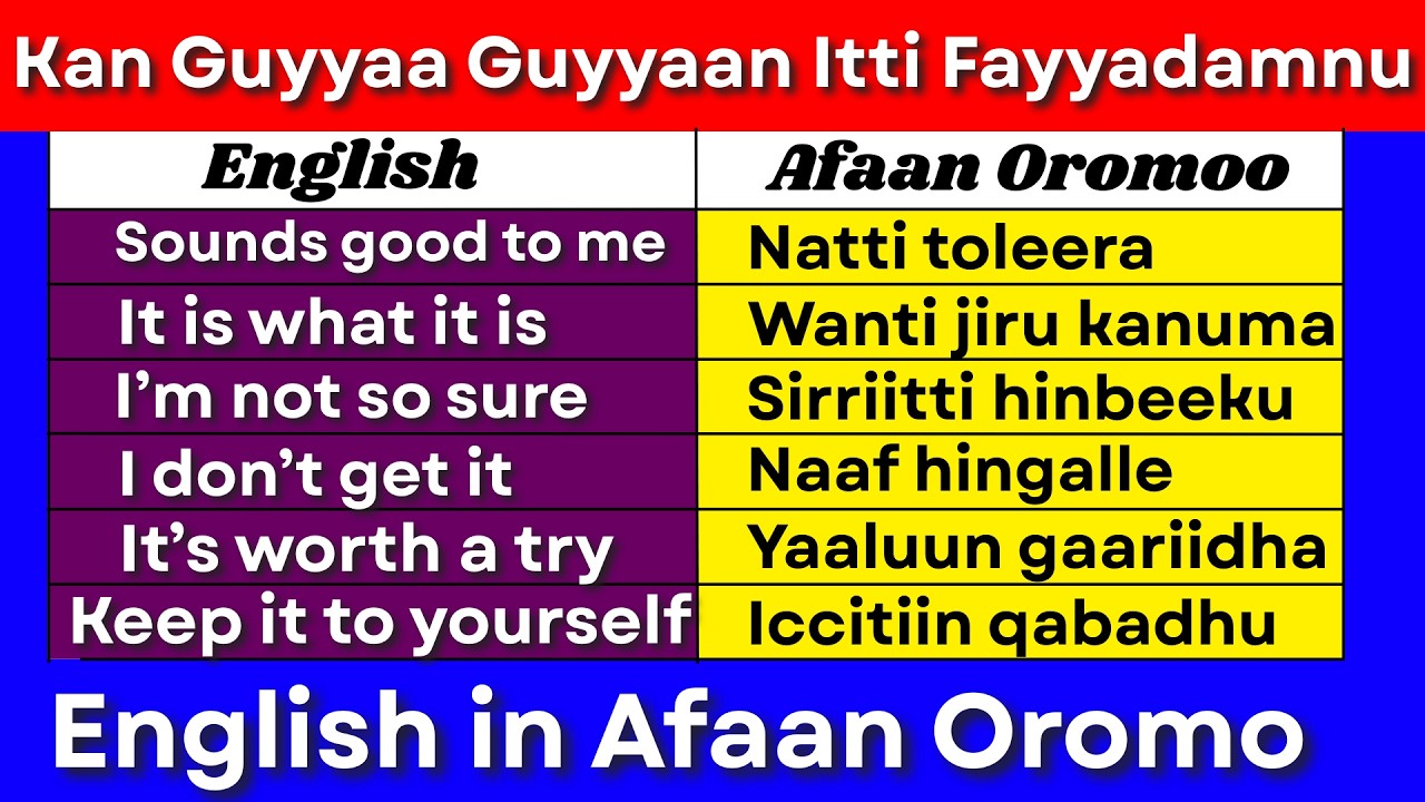 Kan Guyyaa Guyyaan Itti Fayyadamnu (English in Afaan Oromo) #learnenglish #hirkoo #spoken
