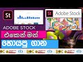 Adobe stock එකෙන් මන් හොයපු ගාන .|make money on adobe stock sinhala .