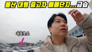 '벤츠 비엠 보다 이런 꿀매물이 최고'  l 현대차의 실수작(feat.영양군홍보맨)