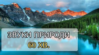 Звуки природи - 60 хвилин