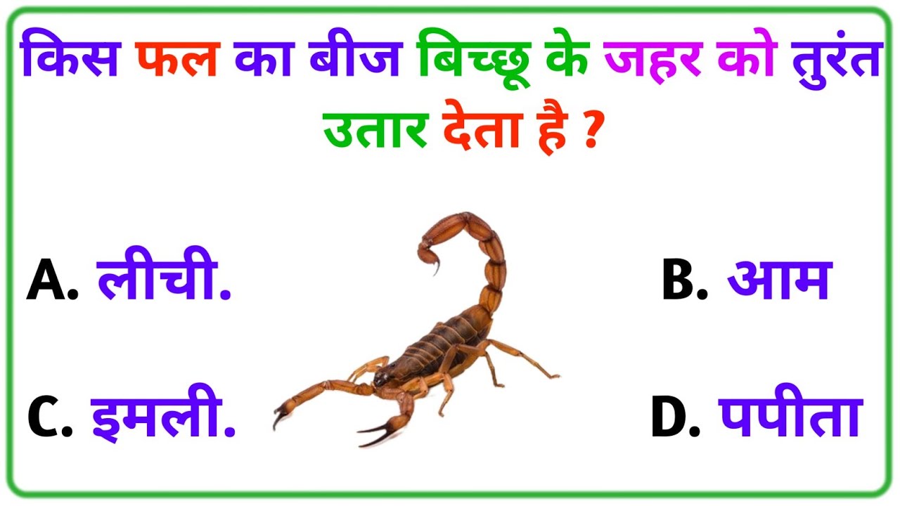 Gk Video || Interesting Gk || Gk In Hindi || General Knowledge || Gk ke sawal  || Hindustan gk adda