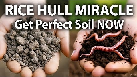 The Soil Secret Garden Centers Don