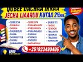 Qubee Dachaa Irraa Jecha Ijaaruu Kutaa 2ffaa Learn Afan Oromo Amharic English Letters 