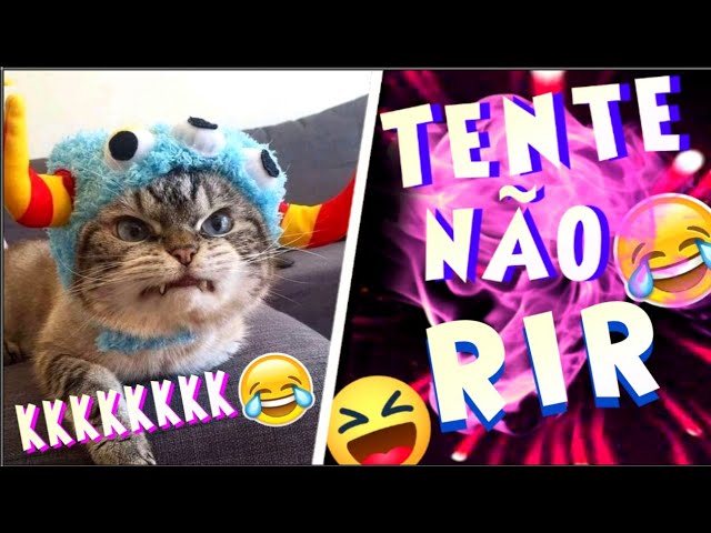 SÓ VÍDEOS ENGRAÇADOS 2019 - MELHORES DA SEMANA - TENTE NÂO RIR - #2 on Vimeo