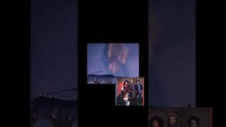 Daily One Minute Albums  Heart  Heart shorts