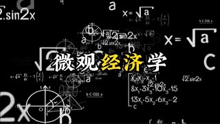 什么是微观经济学，只需三分钟，看完这个视频你就会了解