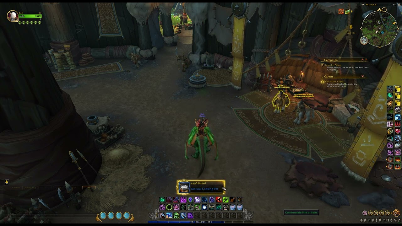 Maruuk Cooking Pot Toy use, WoW Dragonflight