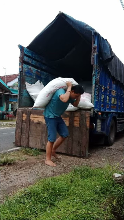Story wa truk || sewates kerjo