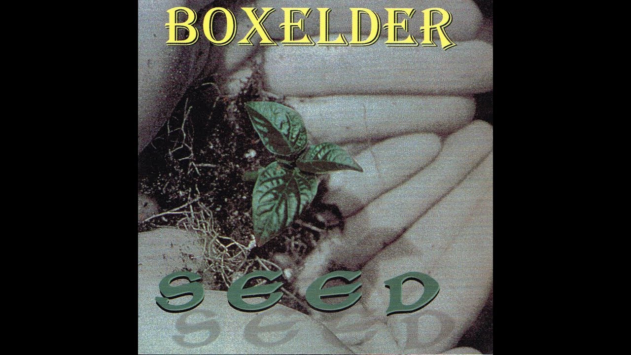 Watch Boxelder - Oceans Away on YouTube Watch Boxelder - Oceans Away on YouTube
